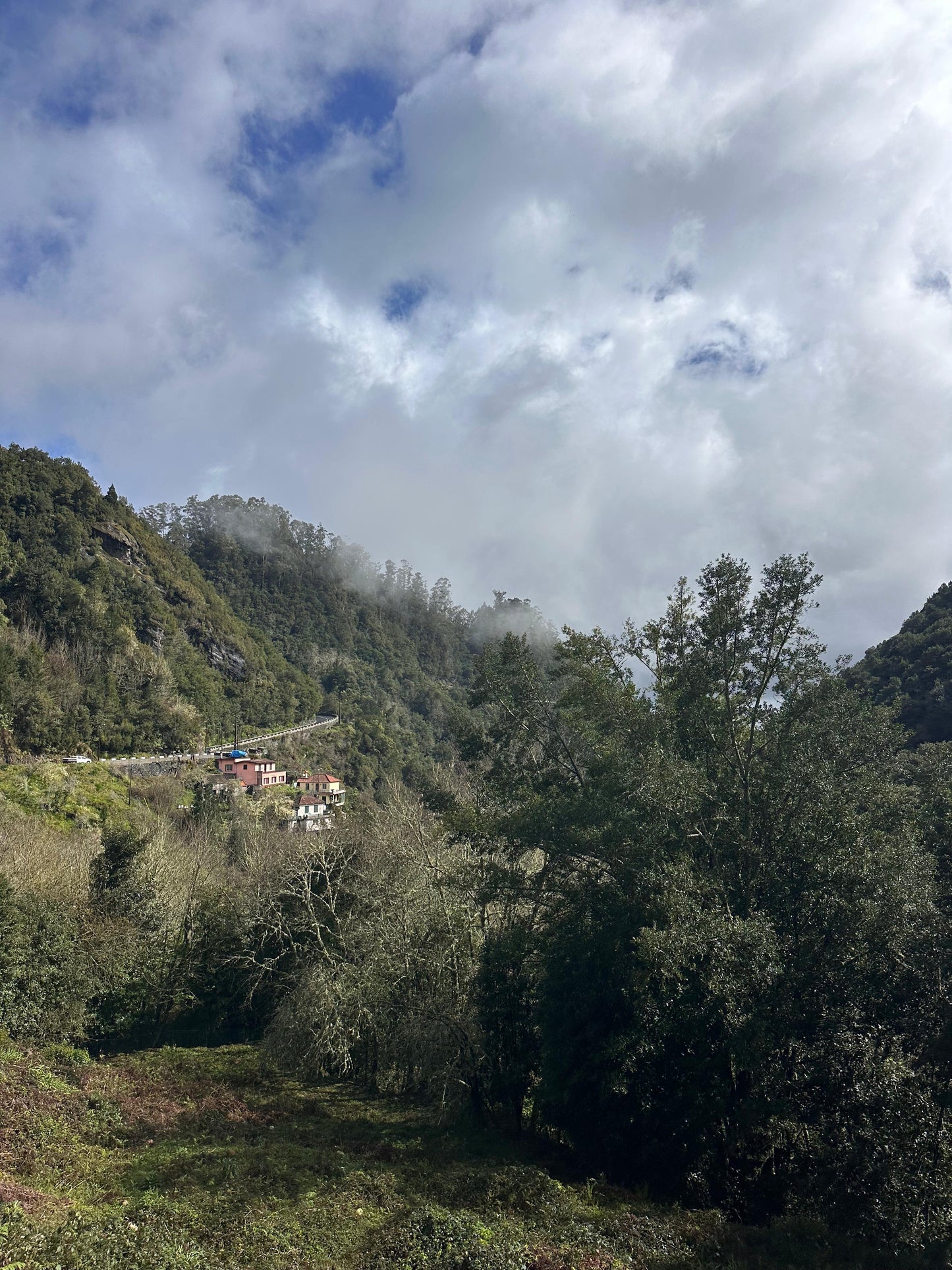 East Tour Madeira with Laurissilva Forest