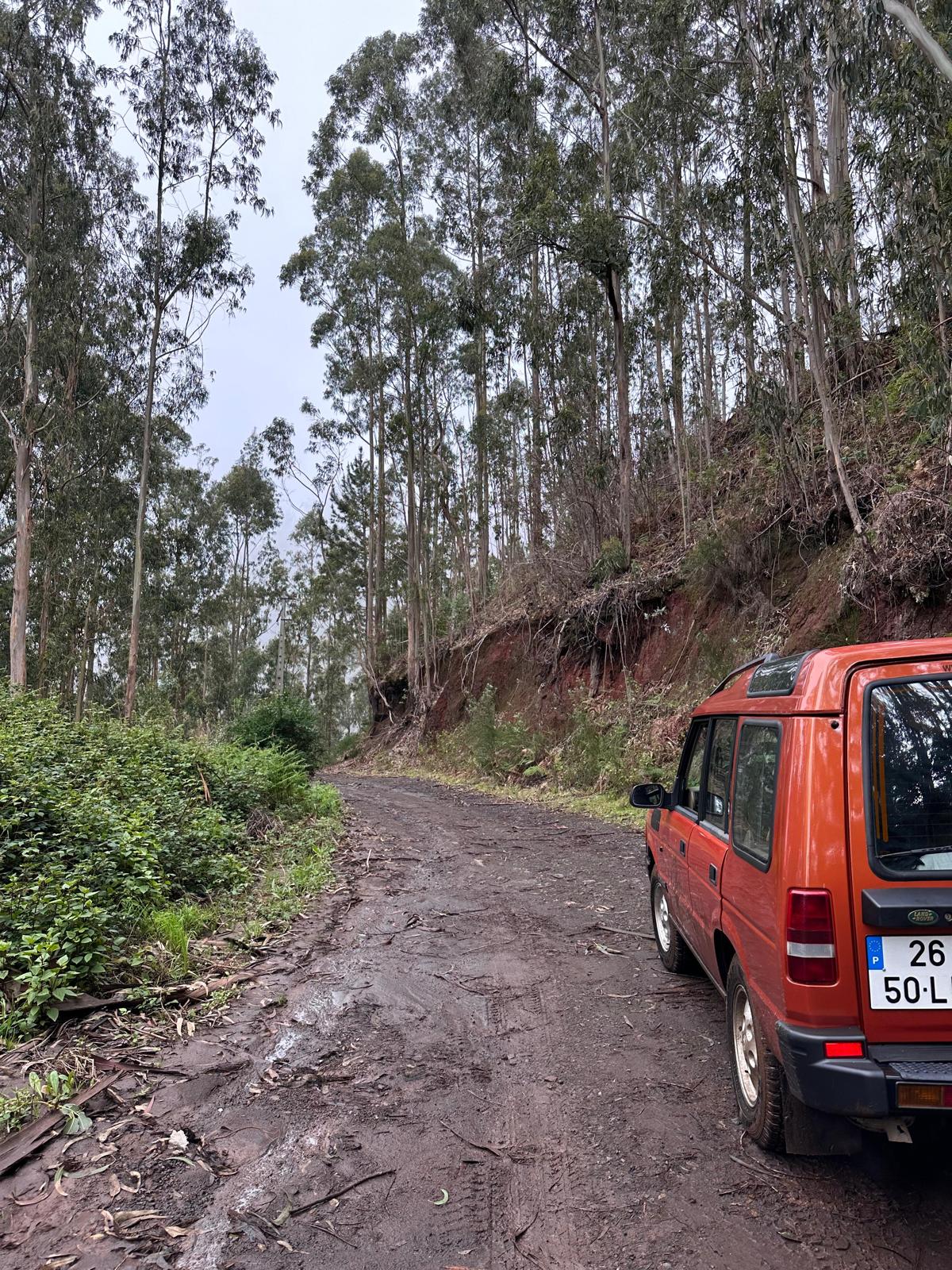Jeep Central Tour Madeira (Half-Day)