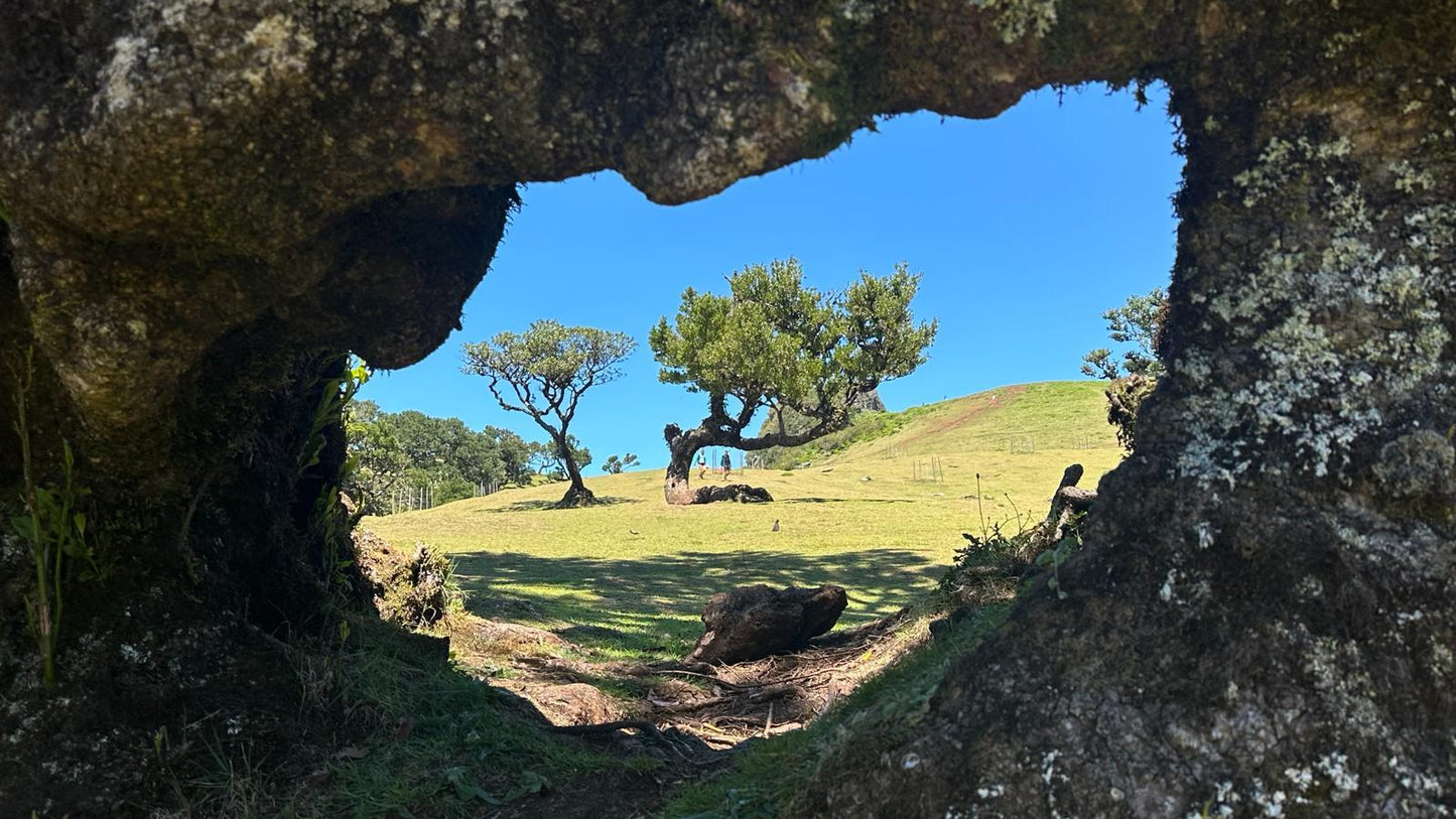 Jeep Central Tour Madeira (Half-Day)