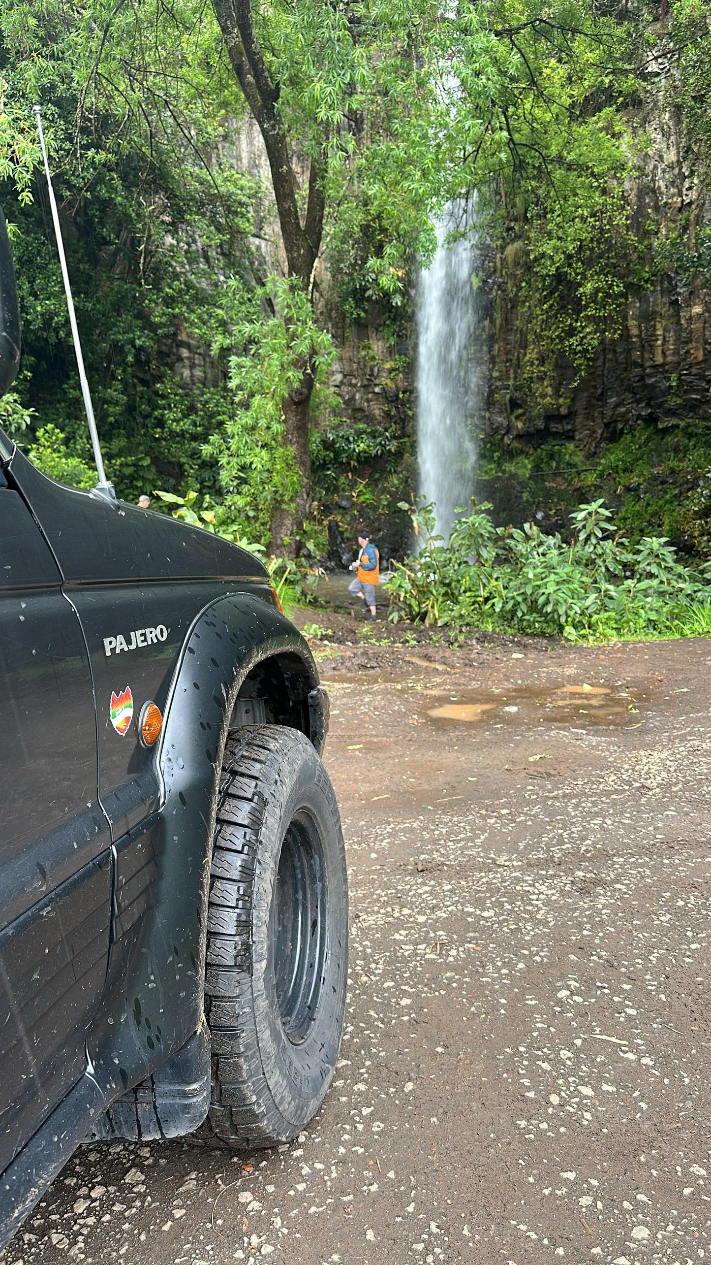 Jeep Central Tour Madeira (Half-Day)