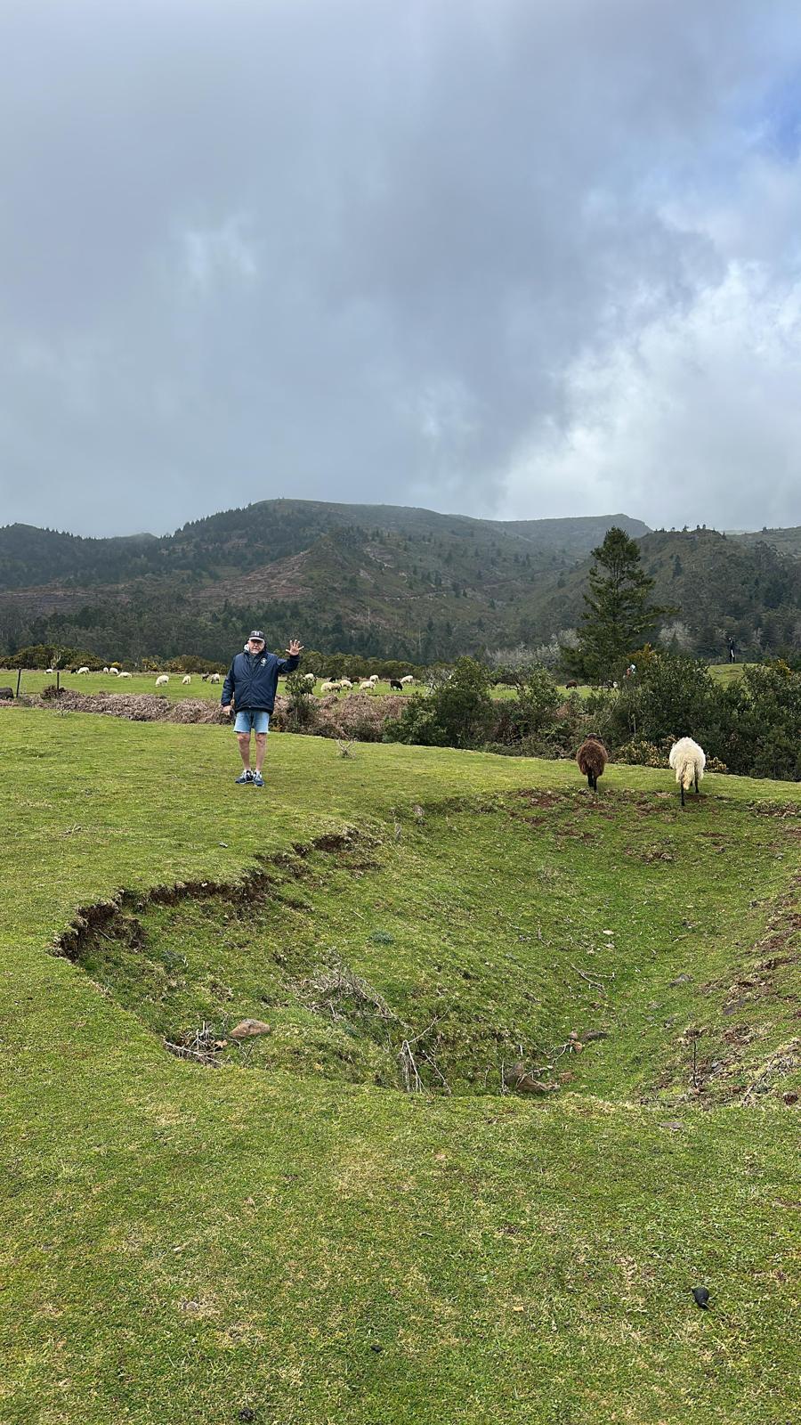 Jeep Central Tour Madeira (Half-Day)