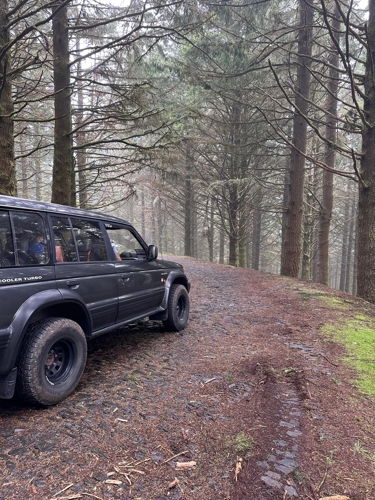 Jeep Central Tour Madeira (Half-Day)