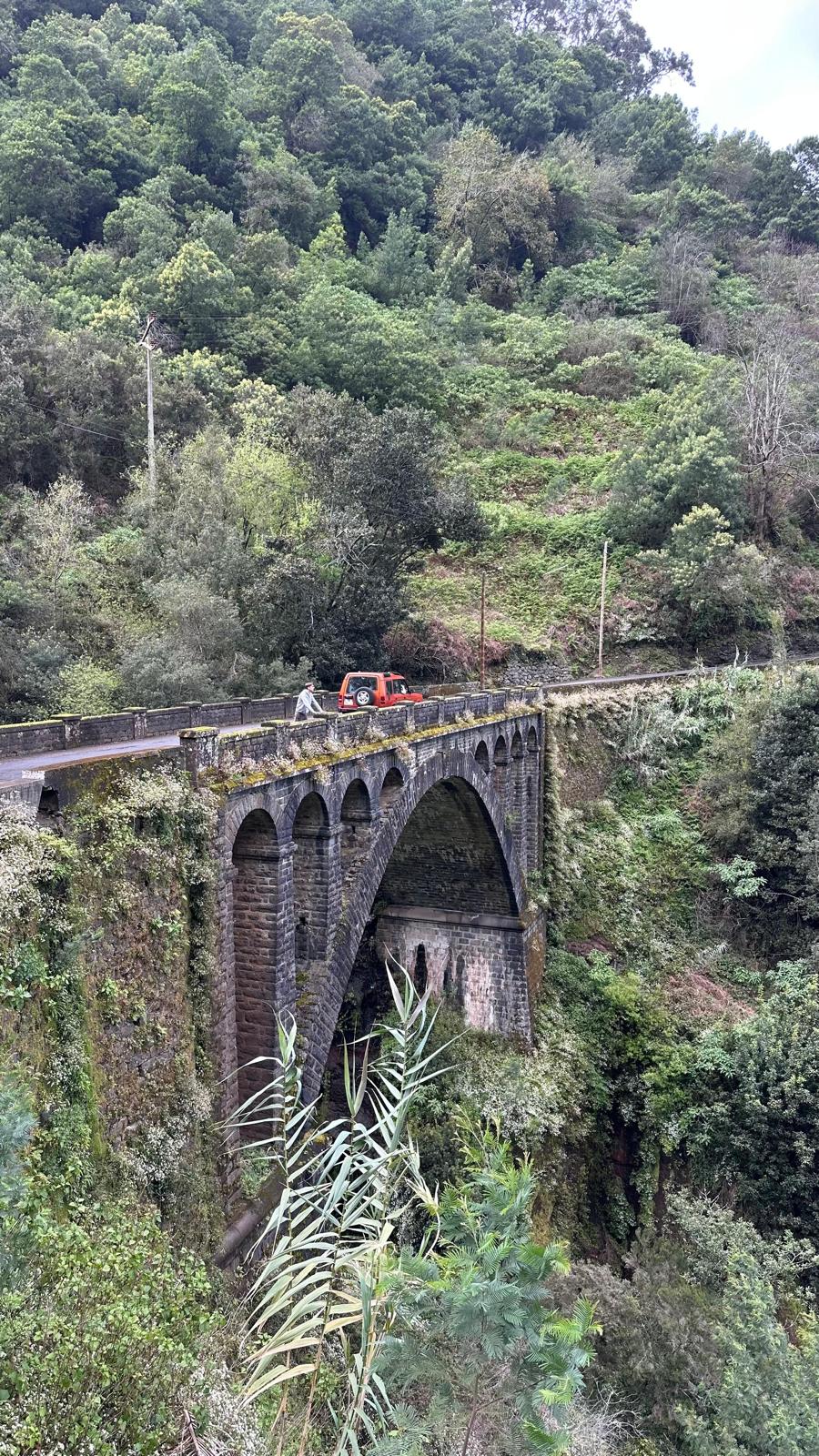 Jeep Central Tour Madeira (Half-Day)