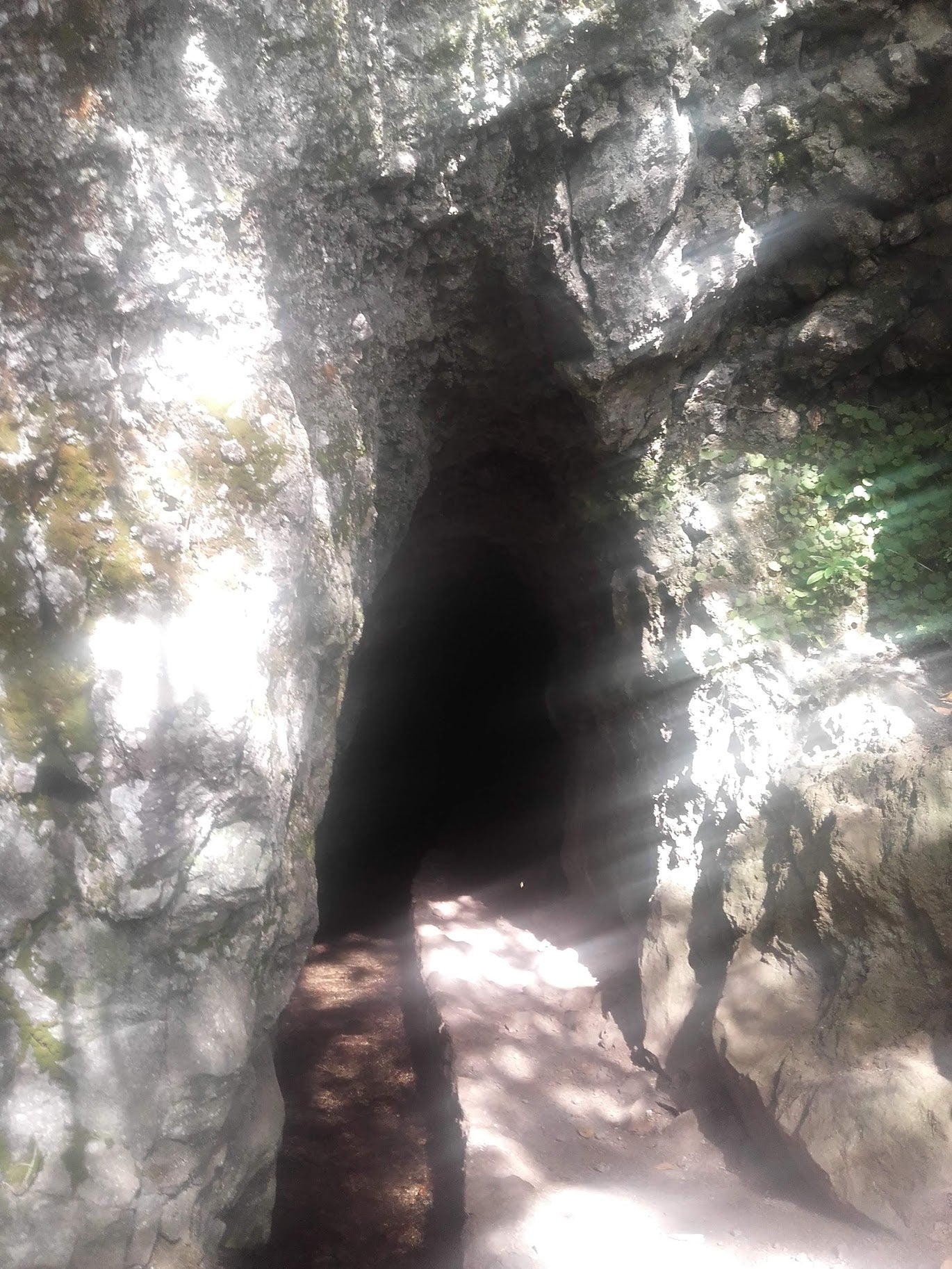 Queimadas - Promenade Levada Caldeirao Verde