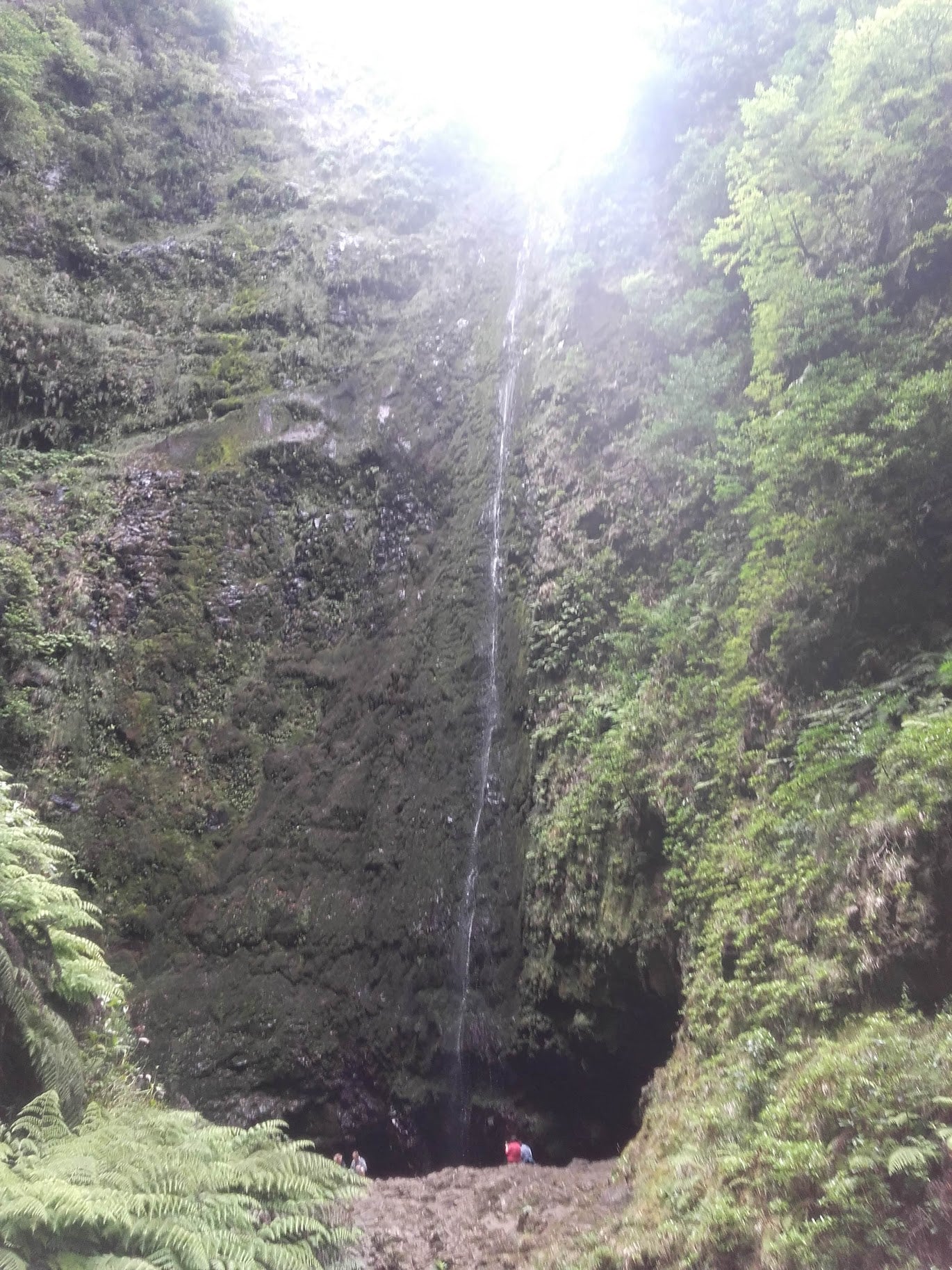 Queimadas - Promenade Levada Caldeirao Verde