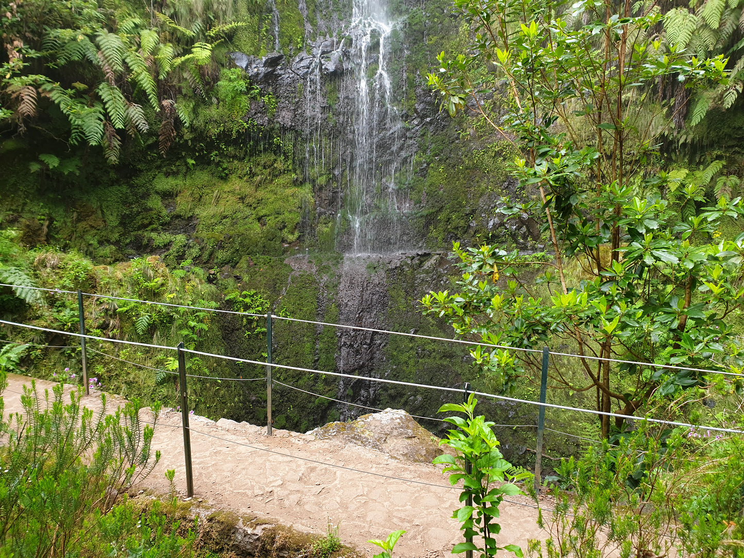 Queimadas - Promenade Levada Caldeirao Verde