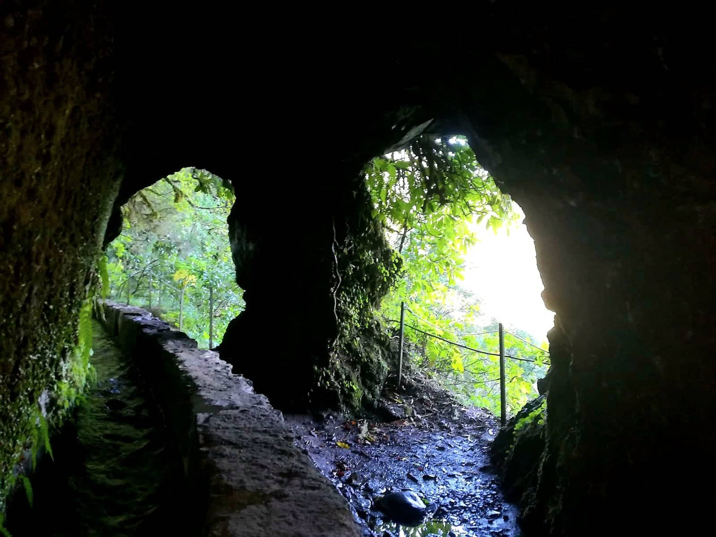 Queimadas - Promenade Levada Caldeirao Verde
