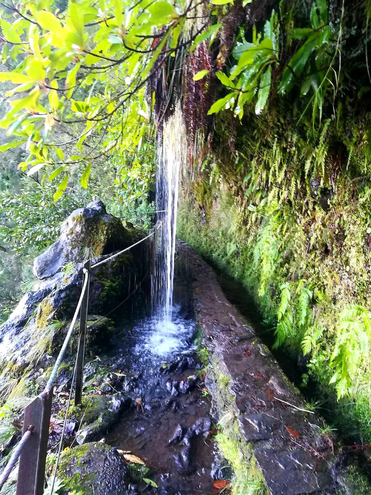 Queimadas - Promenade Levada Caldeirao Verde