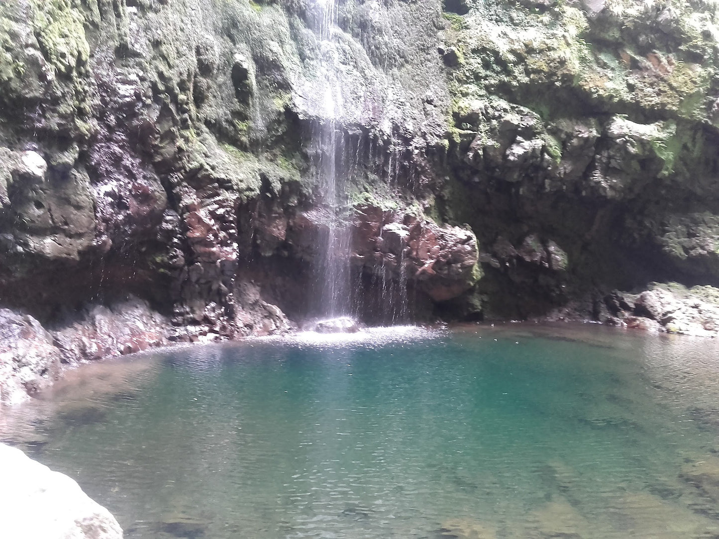 Queimadas - Promenade Levada Caldeirao Verde