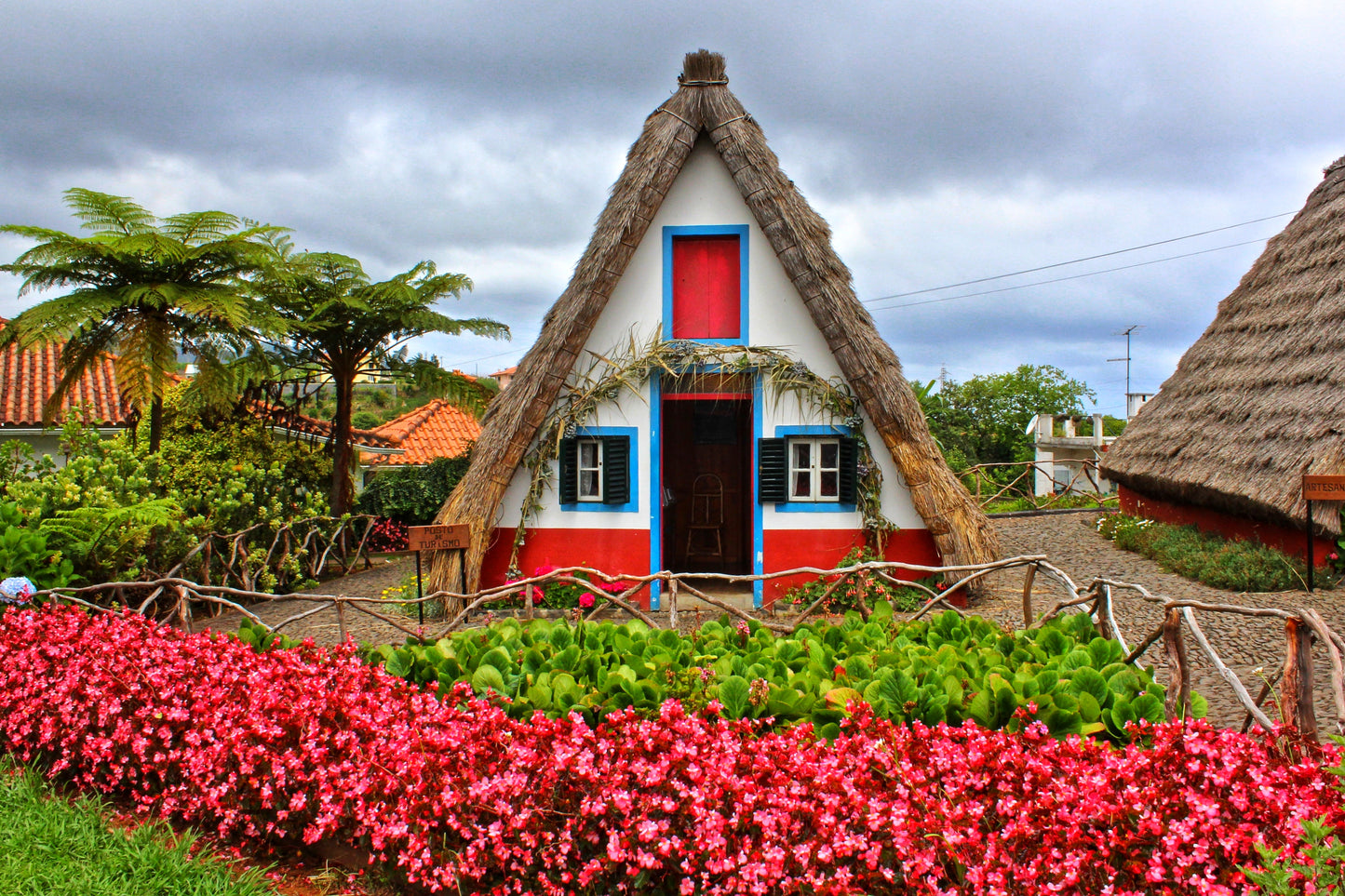 Osttour Madeira mit Laurissilva-Wald