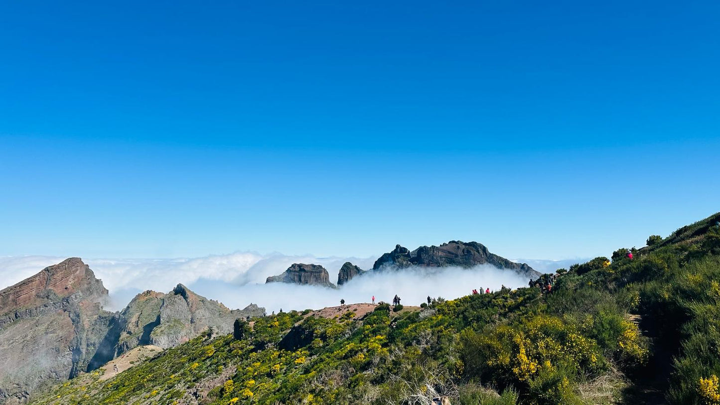 Osttour Madeira mit Laurissilva-Wald