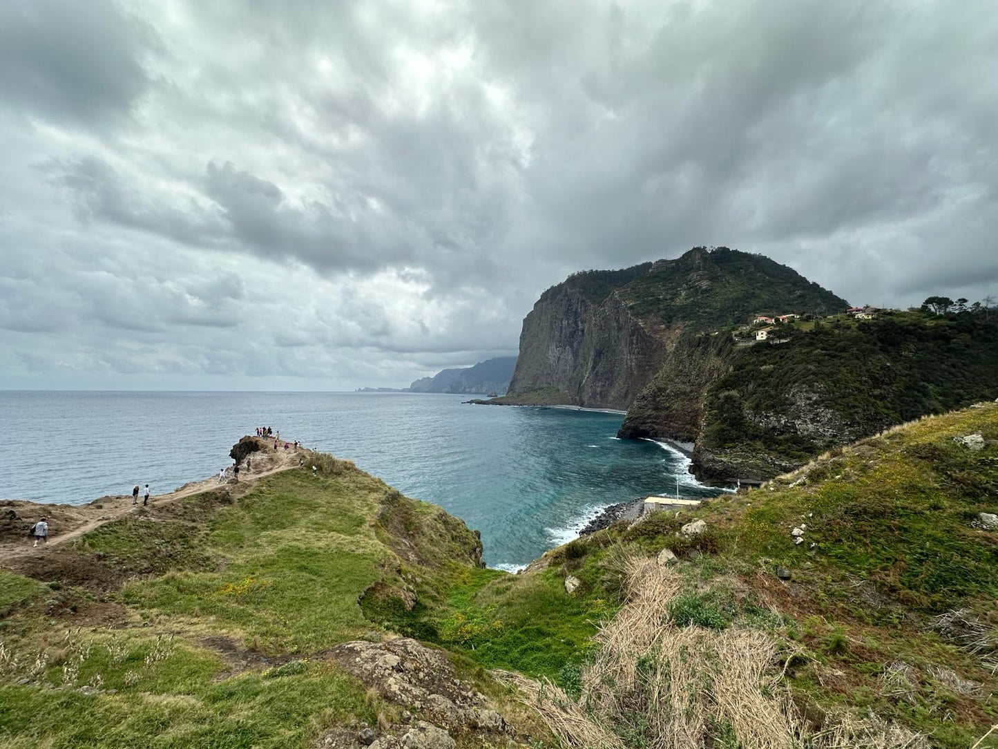 Osttour Madeira mit Laurissilva-Wald