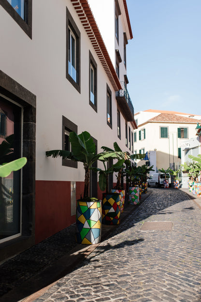 West Tour Madeira with Laurissilva Forest