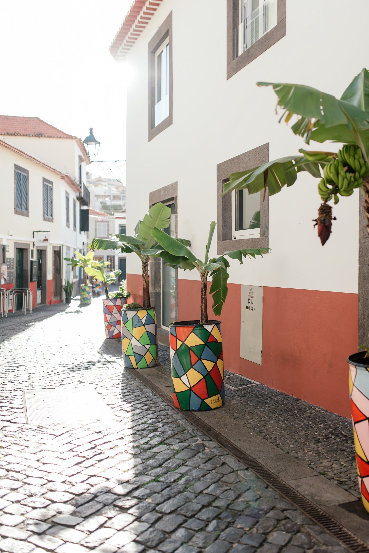 West Tour Madeira with Laurissilva Forest