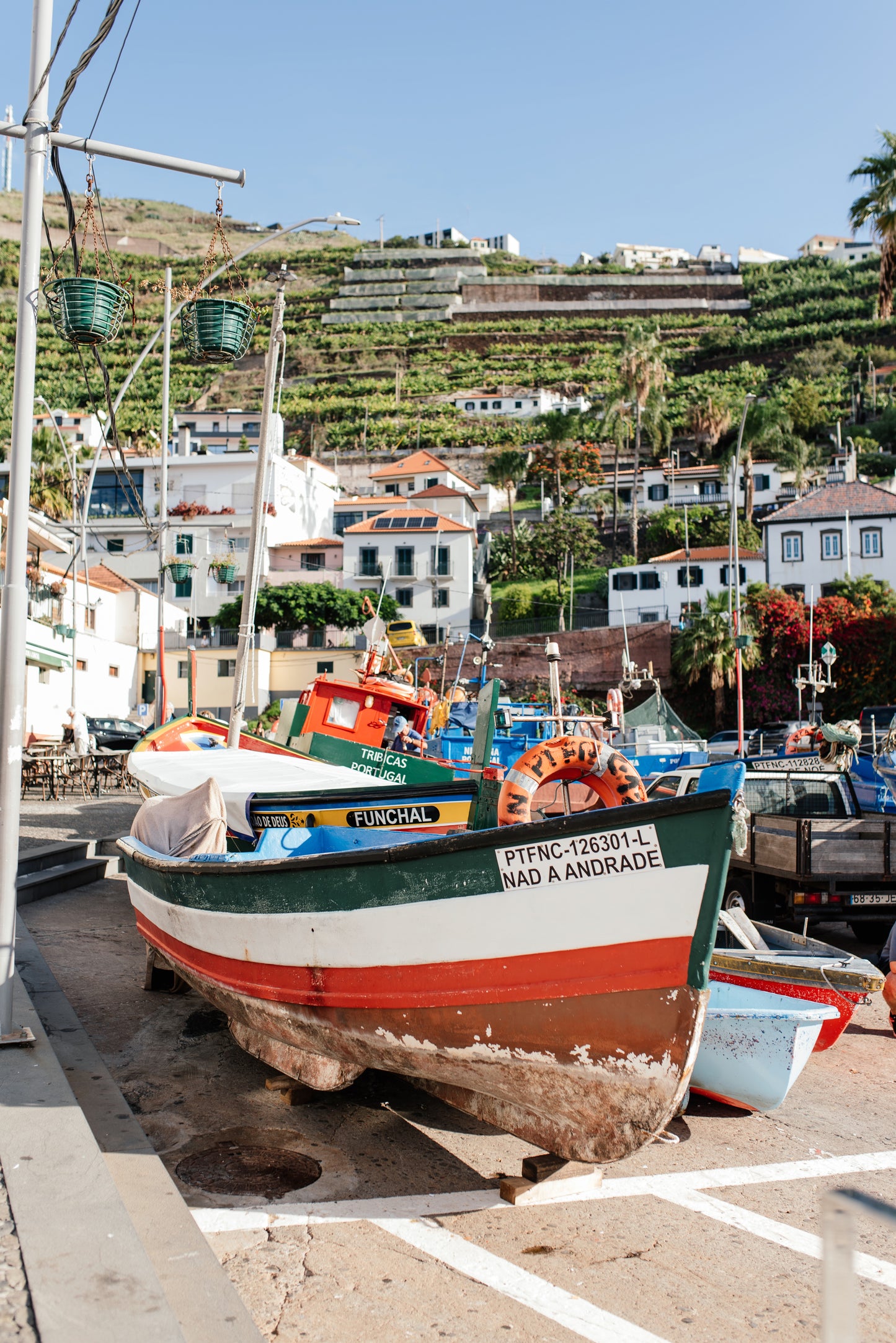 West Tour Madeira with Laurissilva Forest