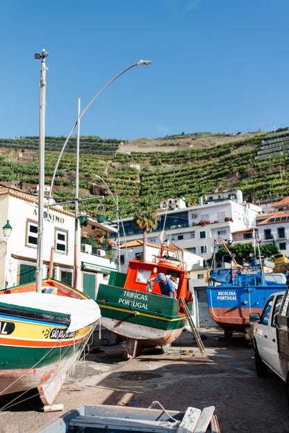 West Tour Madeira with Laurissilva Forest