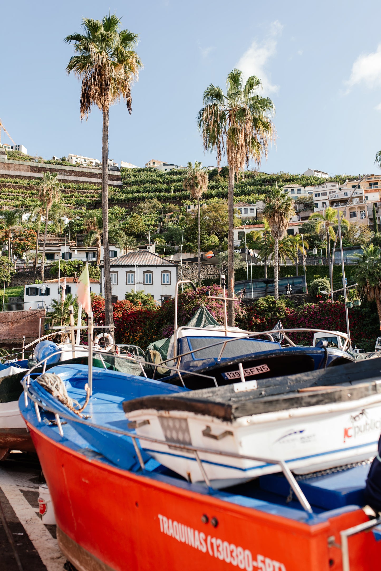 West Tour Madeira with Laurissilva Forest