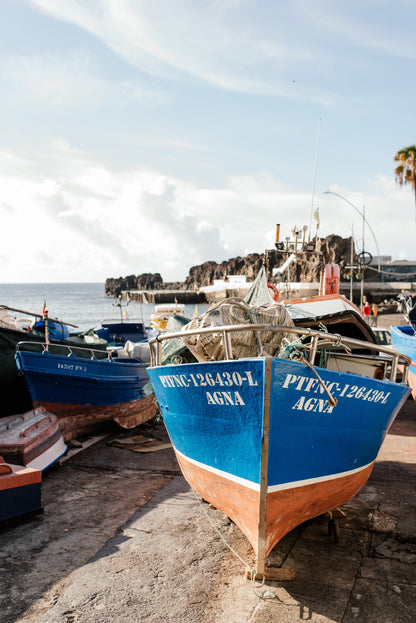 West Tour Madeira with Laurissilva Forest