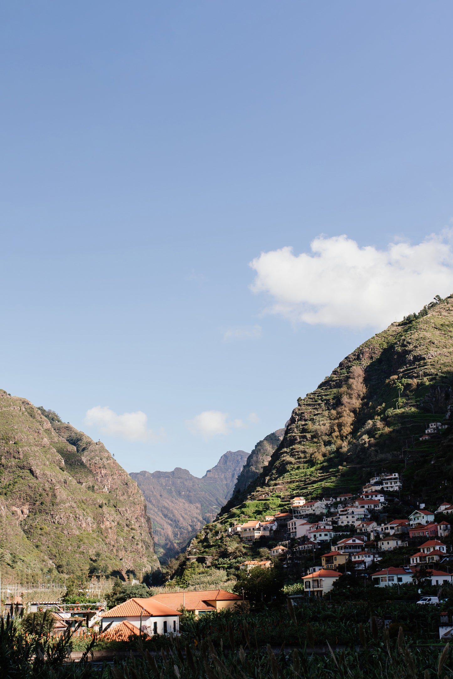 West Tour Madeira with Laurissilva Forest