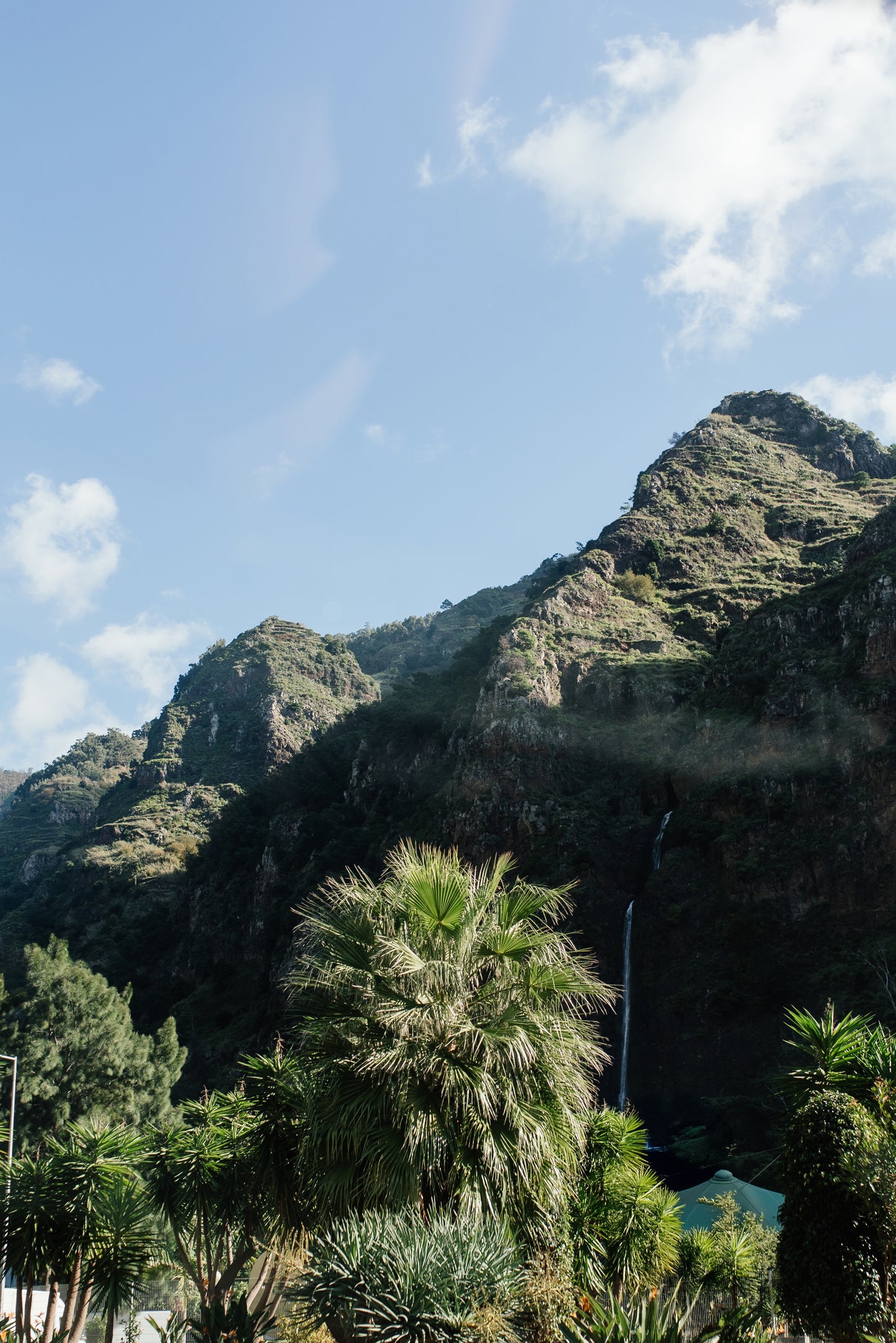 West Tour Madeira with Laurissilva Forest