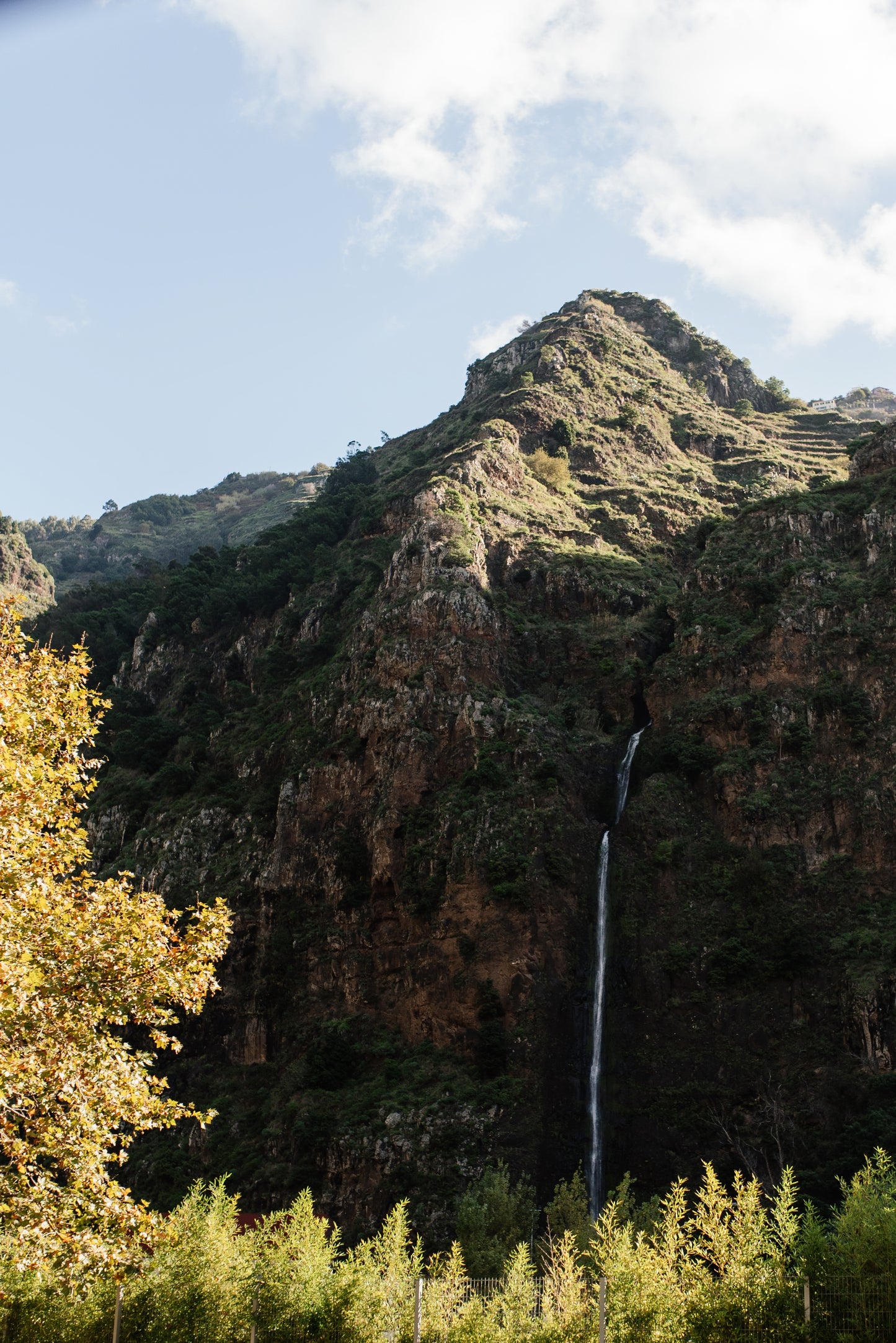 West Tour Madeira with Laurissilva Forest