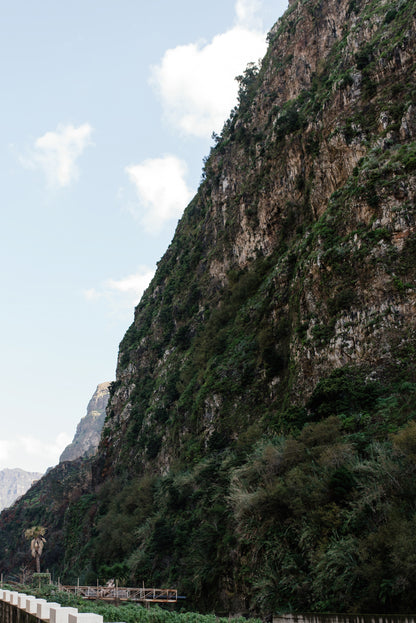 West Tour Madeira with Laurissilva Forest