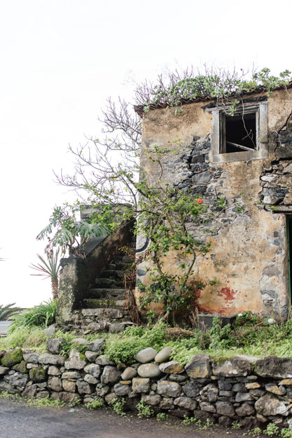 West Tour Madeira with Laurissilva Forest