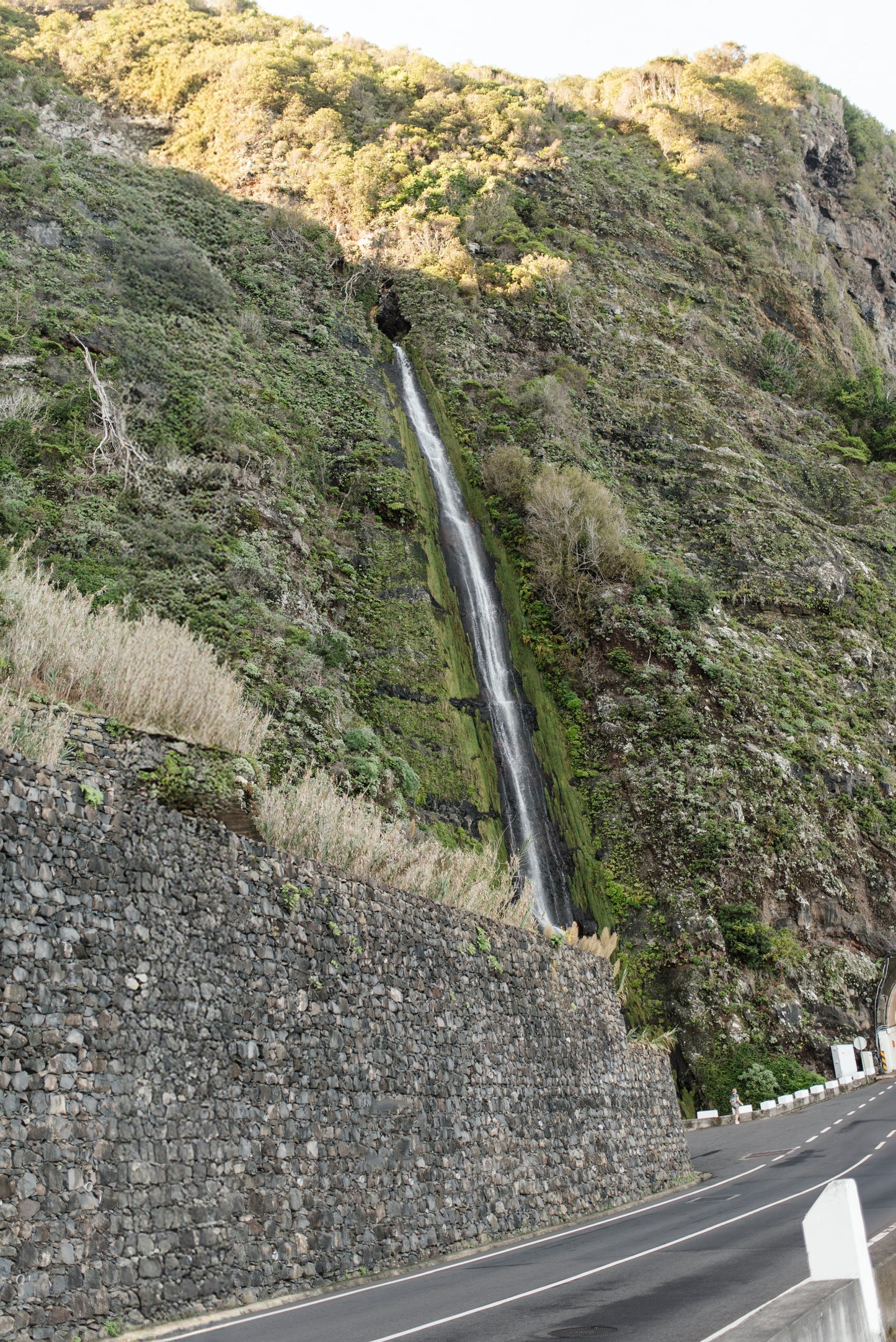 West Tour Madeira with Laurissilva Forest