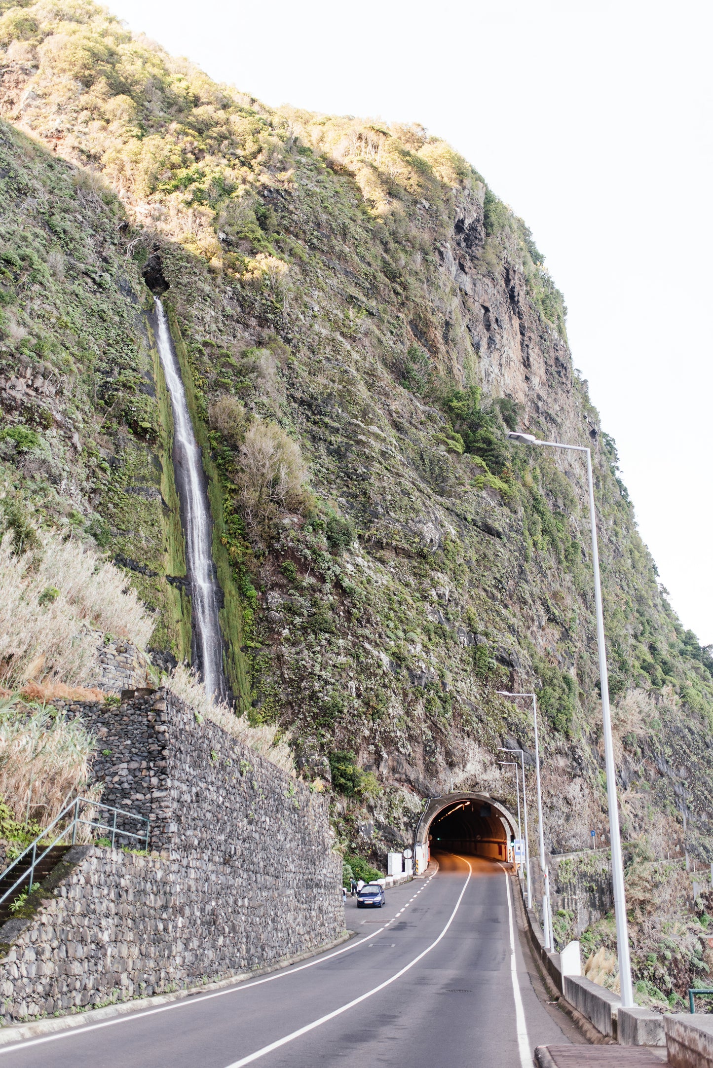 West Tour Madeira with Laurissilva Forest