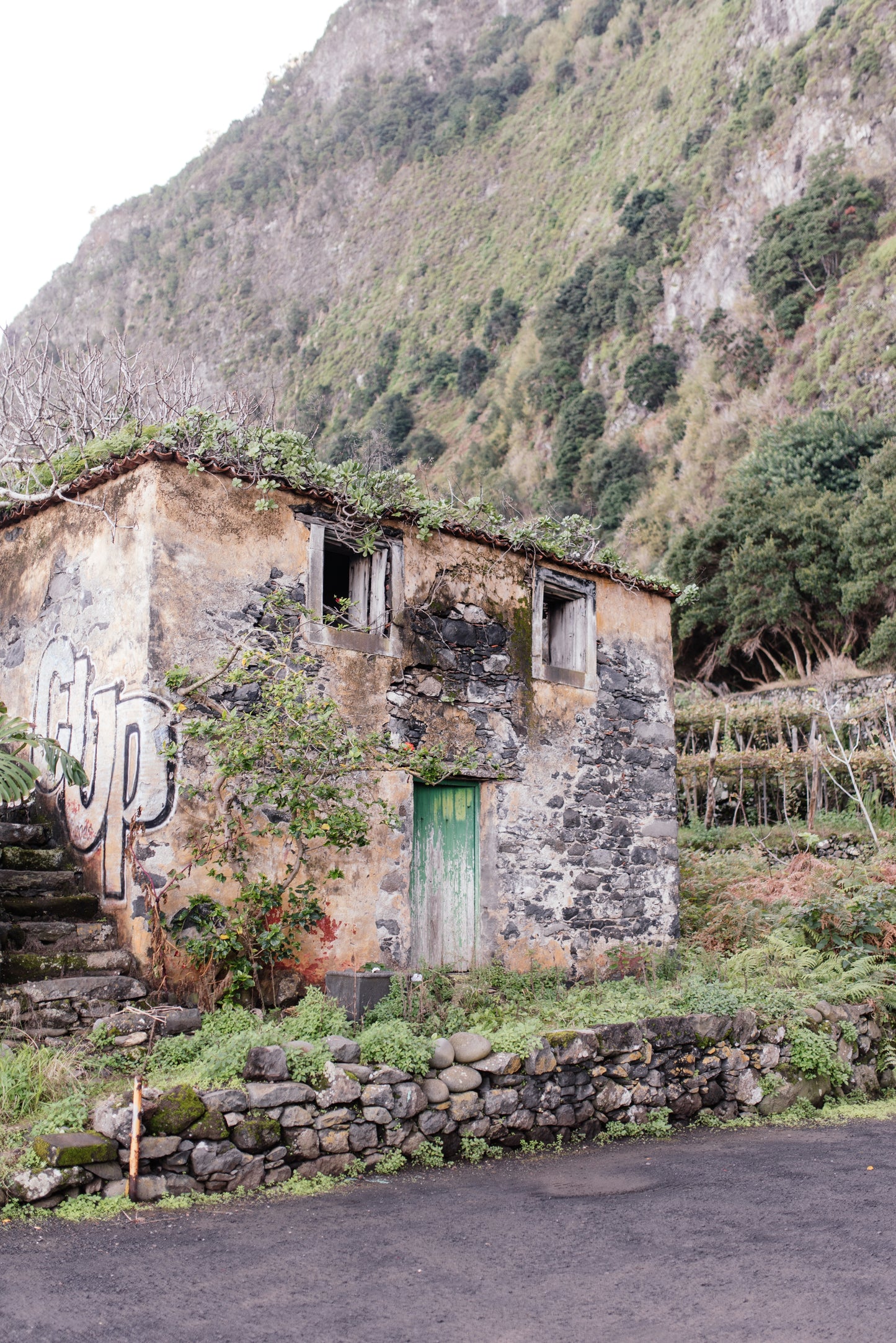 West Tour Madeira with Laurissilva Forest