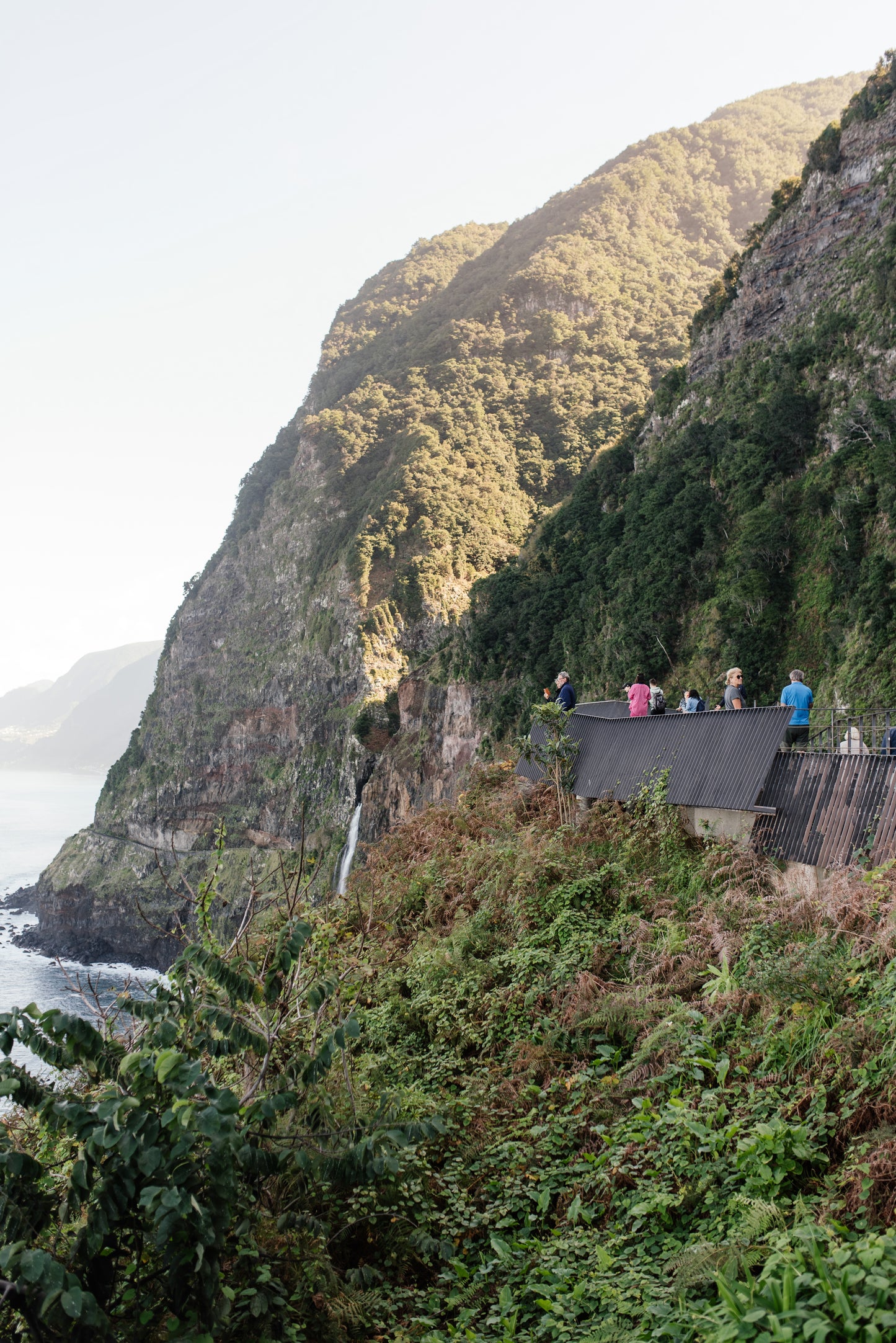 West Tour Madeira with Laurissilva Forest