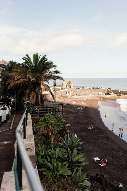 West Tour Madeira with Laurissilva Forest