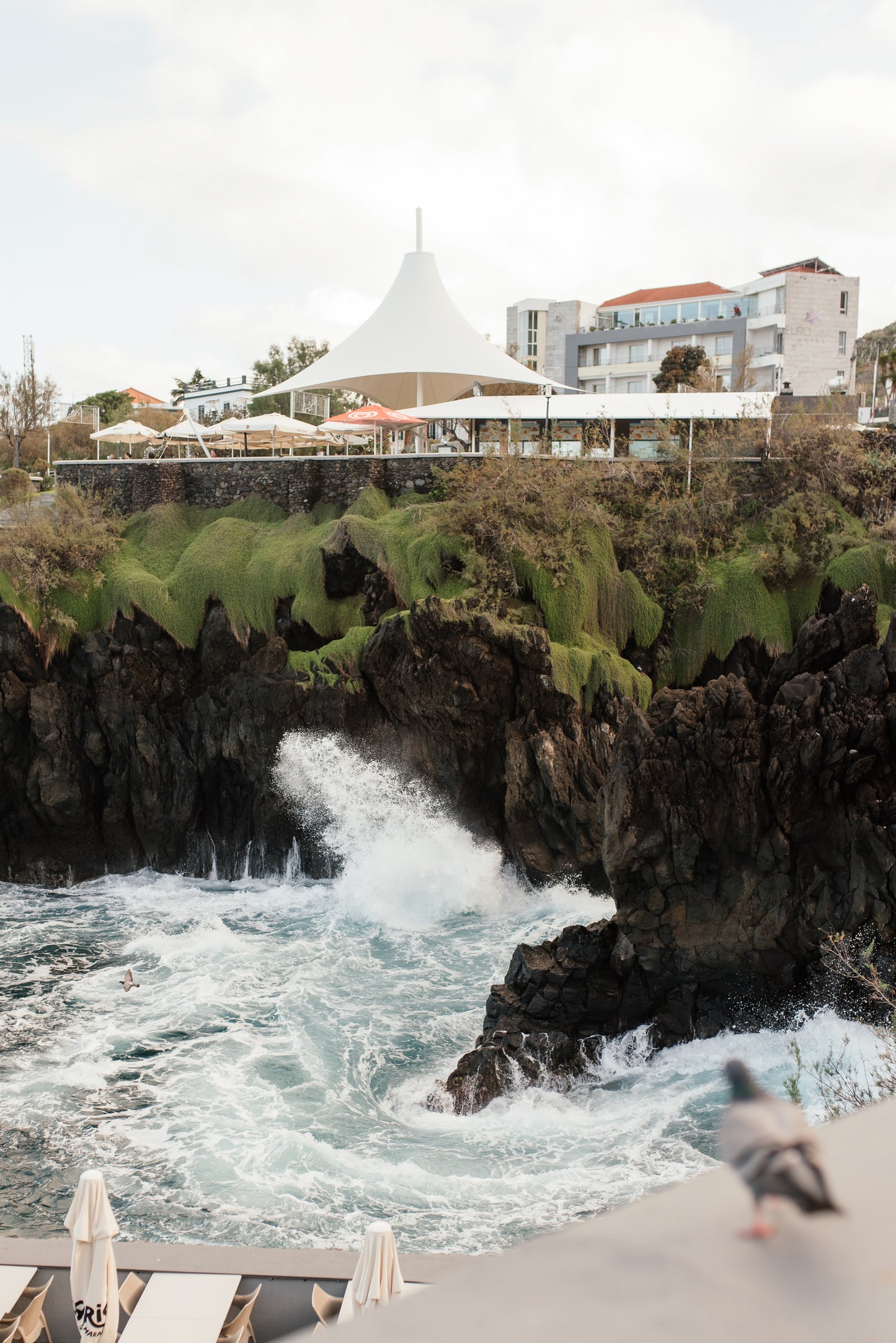 West Tour Madeira with Laurissilva Forest