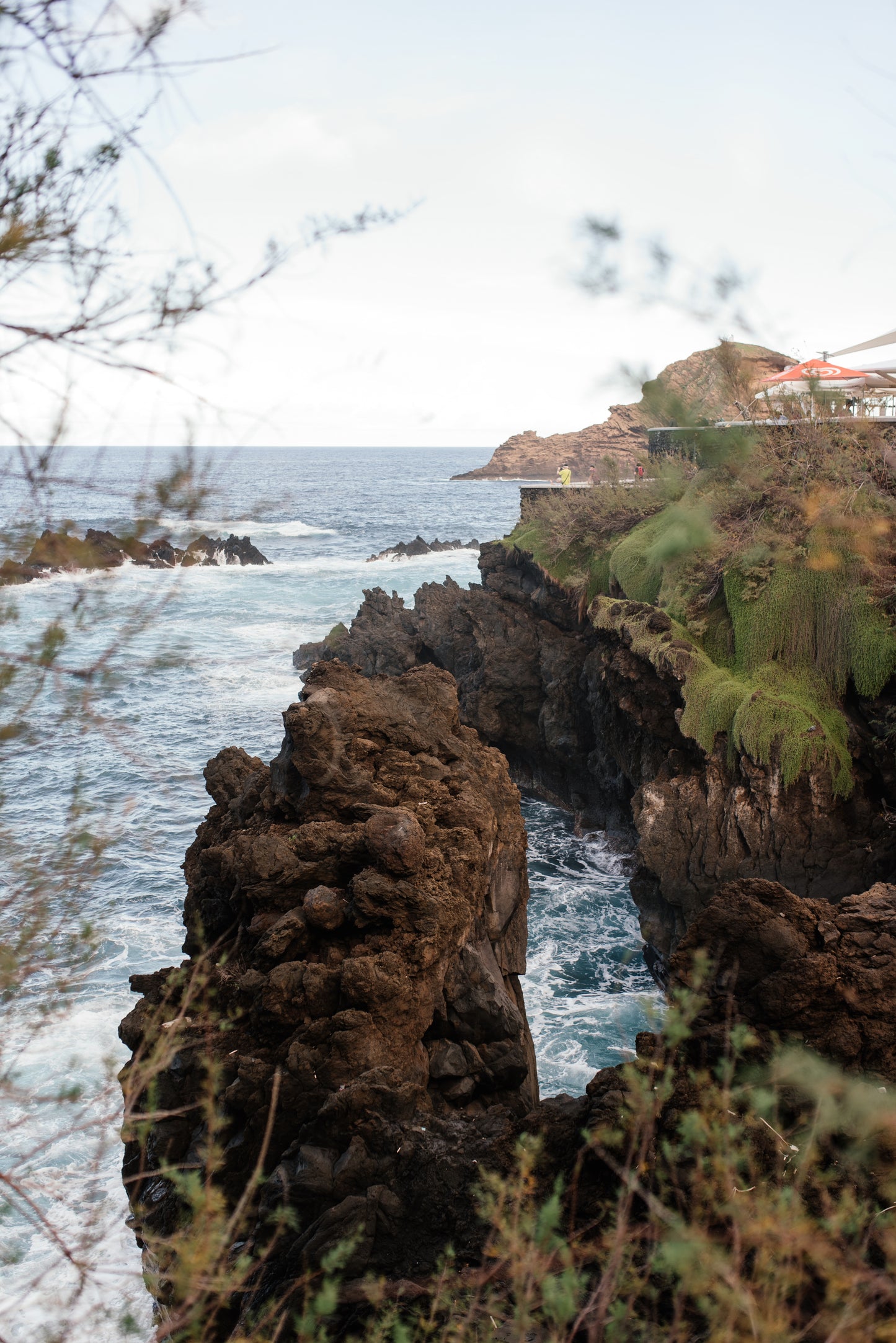 West Tour Madeira with Laurissilva Forest