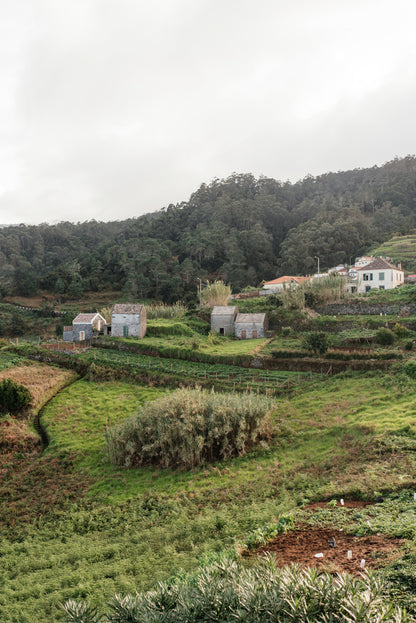 West Tour Madeira with Laurissilva Forest