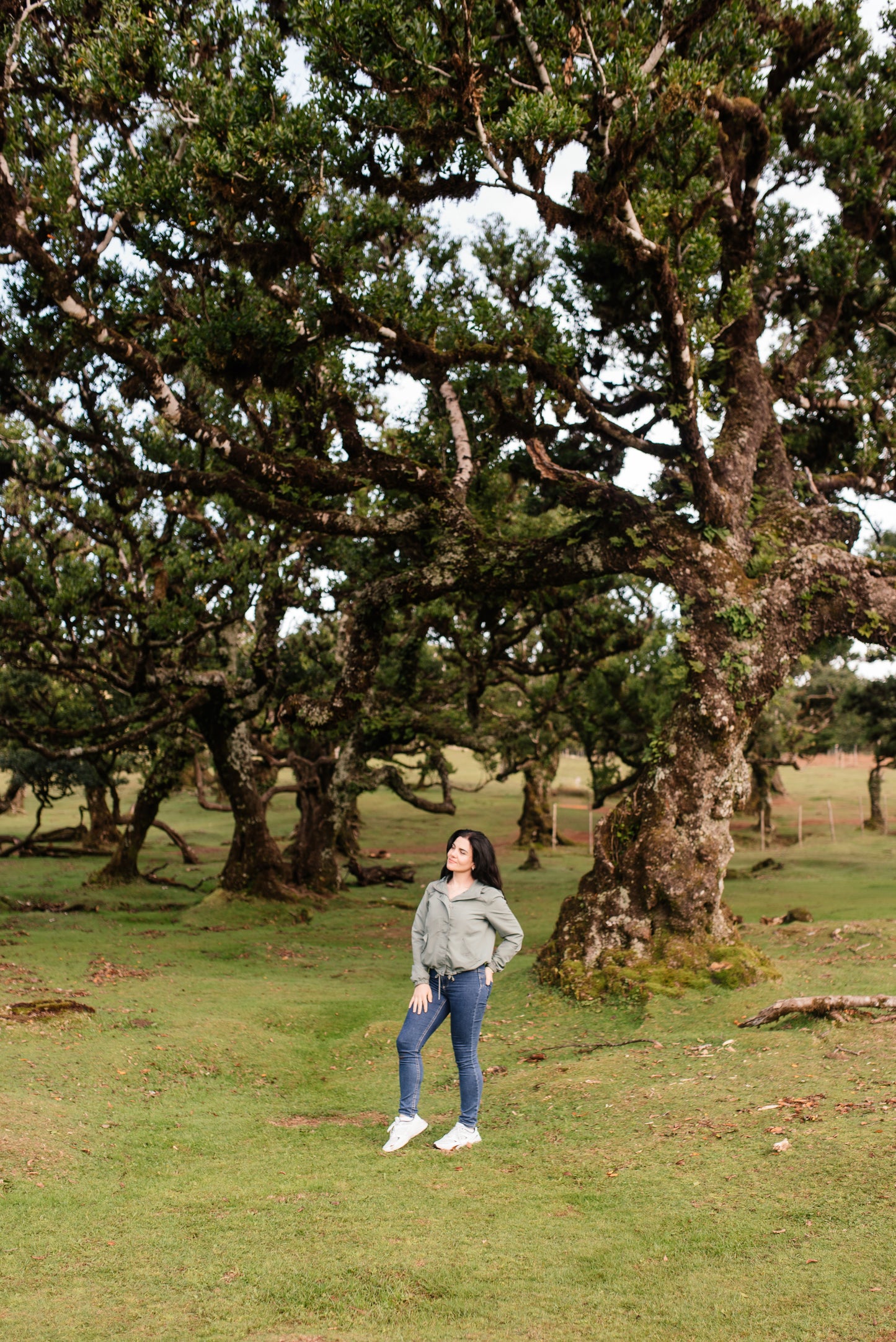 West Tour Madeira with Laurissilva Forest