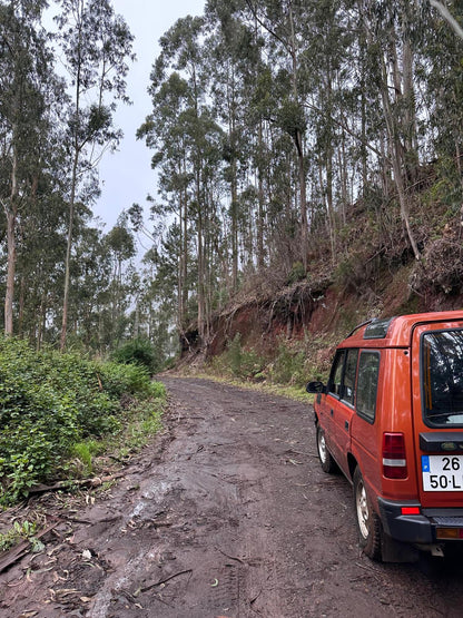 Jeep Tour Madeira with Laurissilva Forest (Full-day)