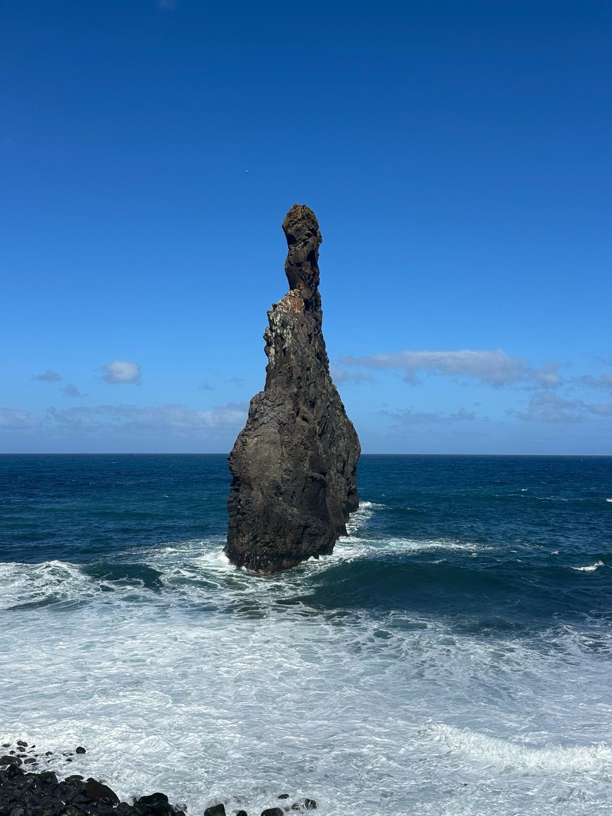 Jeep Tour Madeira with Laurissilva Forest (Full-day)