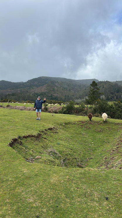 Jeep Tour Madeira with Laurissilva Forest (Full-day)