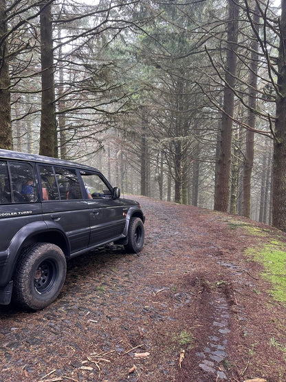 Jeep Tour Madeira with Laurissilva Forest (Full-day)
