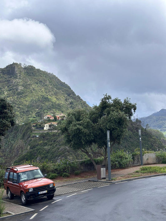 Jeep Tour Madeira with Laurissilva Forest (Full-day)