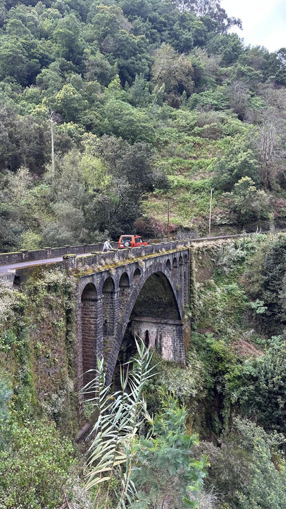Jeep Tour Madeira with Laurissilva Forest (Full-day)