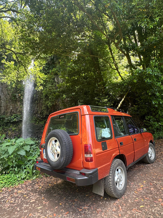 Jeep Central Tour Madeira (Half-Day)