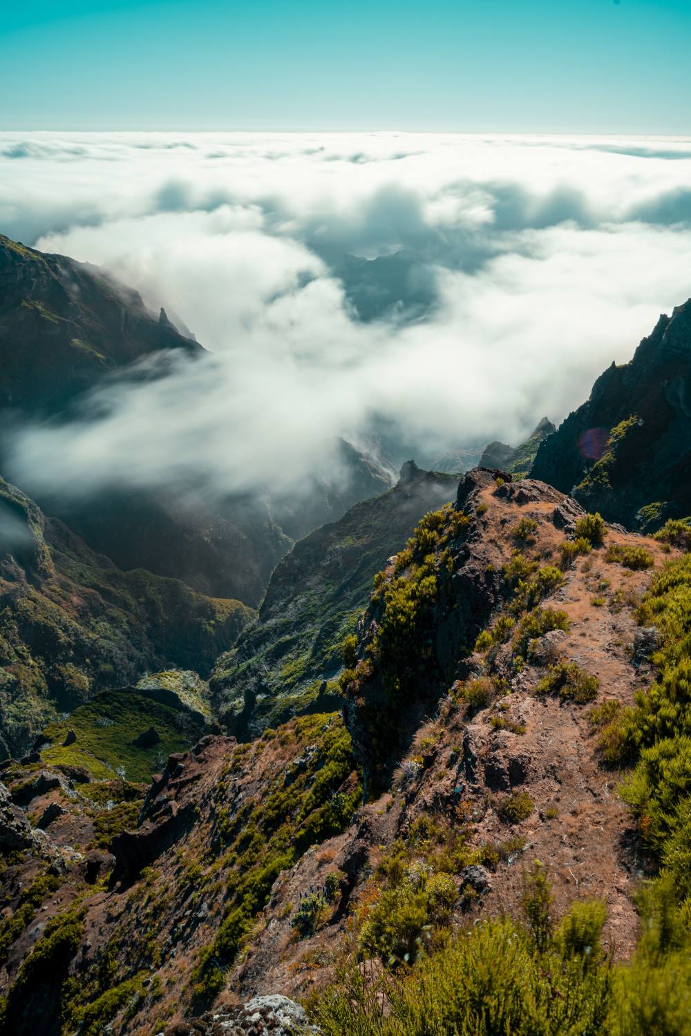 East Tour Madeira with Laurissilva Forest