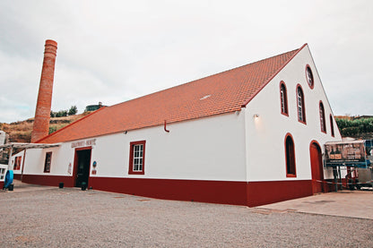 East Tour Madeira with Laurissilva Forest