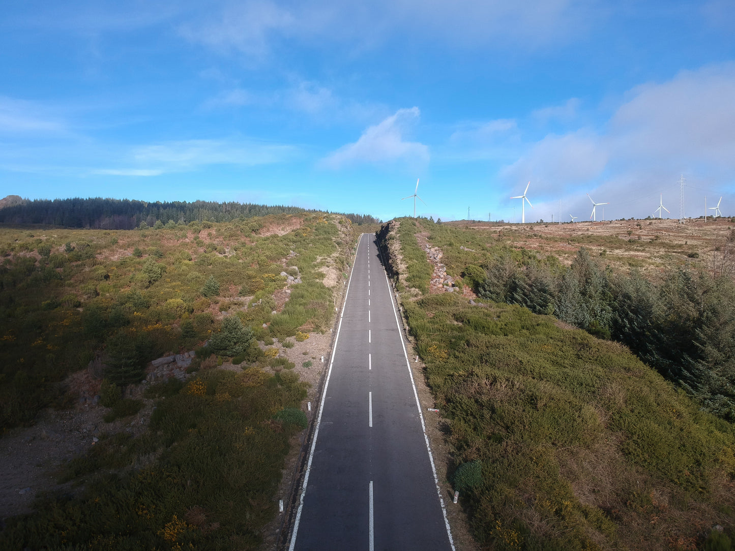 West Tour Madeira with Laurissilva Forest