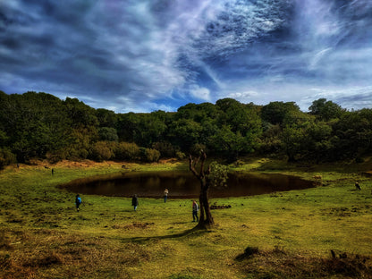 West Tour Madeira with Laurissilva Forest