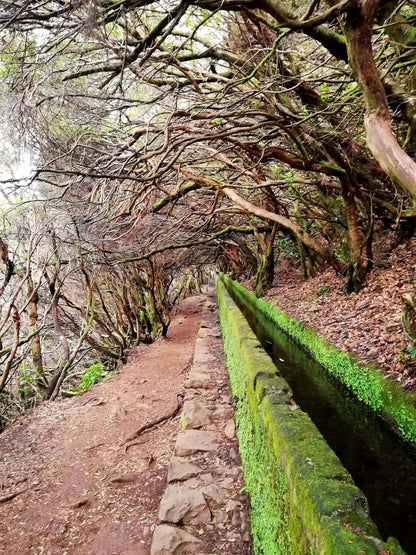 Rabaçal – Levada-Wanderung mit 25 Brunnen