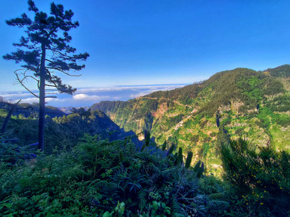 Nun`s valley Tour Madeira